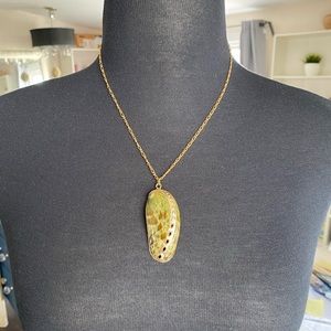 Seashell necklace